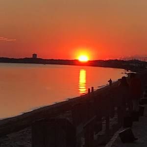 Meet your Posher, Arlene